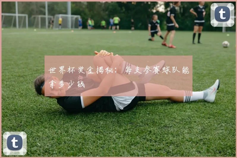 世界杯奖金揭秘：每支参赛球队能拿多少钱