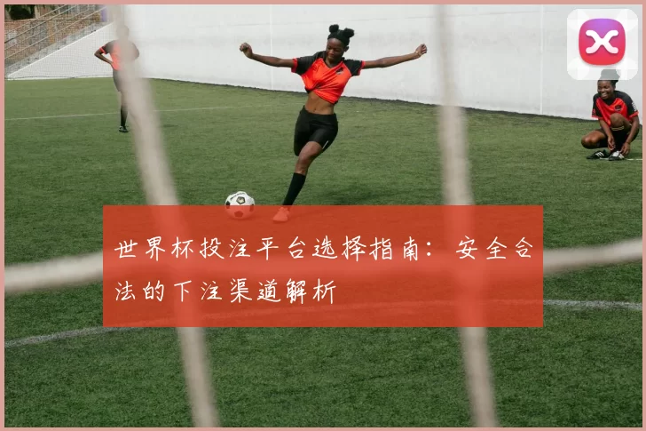 世界杯投注平台选择指南：安全合法的下注渠道解析