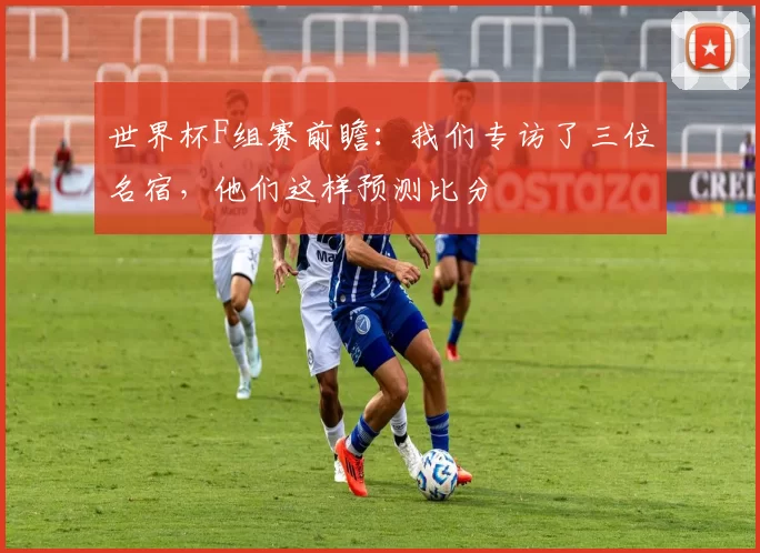 世界杯F组赛前瞻:我们专访了三位名宿,他们这样预测比分
