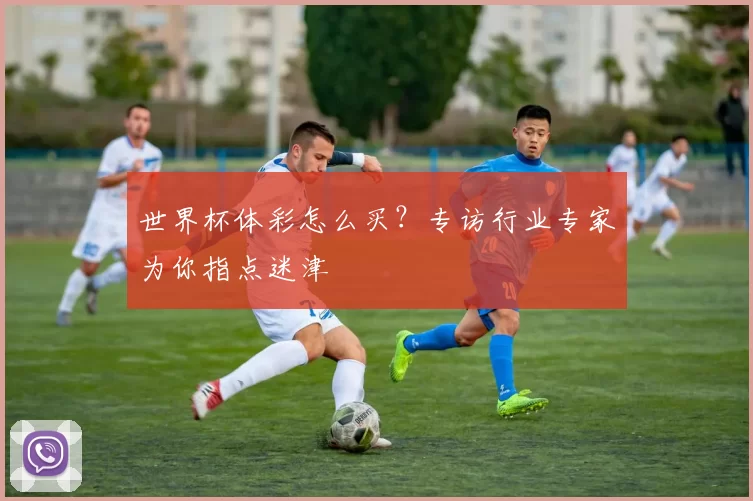 世界杯体彩怎么买？专访行业专家为你指点迷津