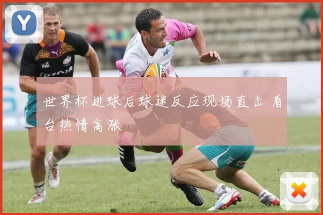 世界杯进球后球迷反应现场直击 看台热情高涨