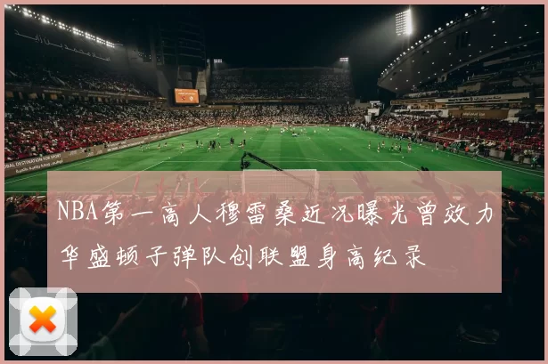 NBA第一高人穆雷桑近况曝光曾效力华盛顿子弹队创联盟身高纪录