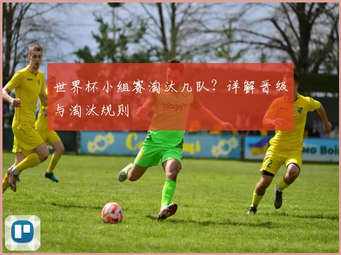 世界杯小组赛淘汰几队？详解晋级与淘汰规则