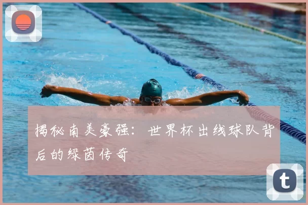 揭秘南美豪强：世界杯出线球队背后的绿茵传奇