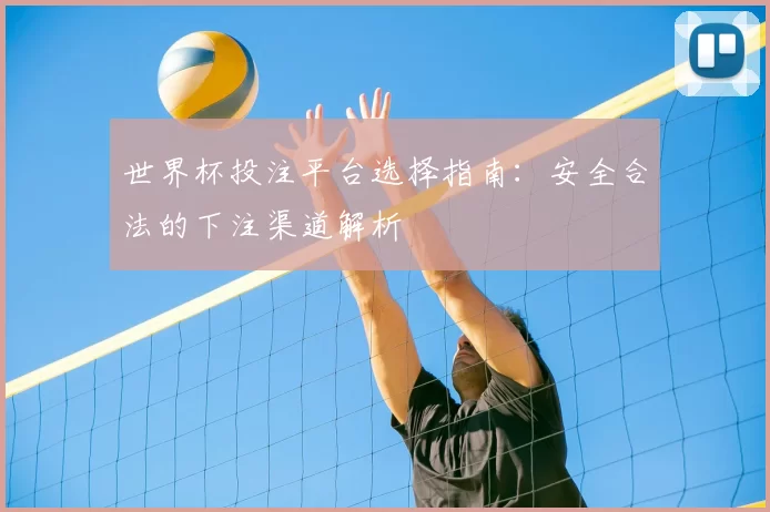 世界杯投注平台选择指南:安全合法的下注渠道解析