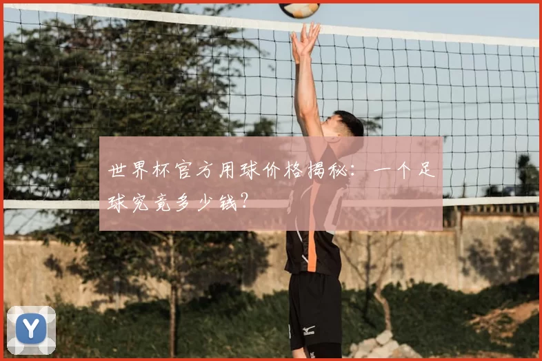 世界杯官方用球价格揭秘：一个足球究竟多少钱？
