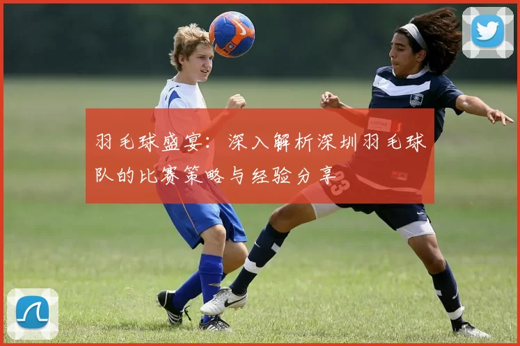 羽毛球盛宴：深入解析深圳羽毛球队的比赛策略与经验分享