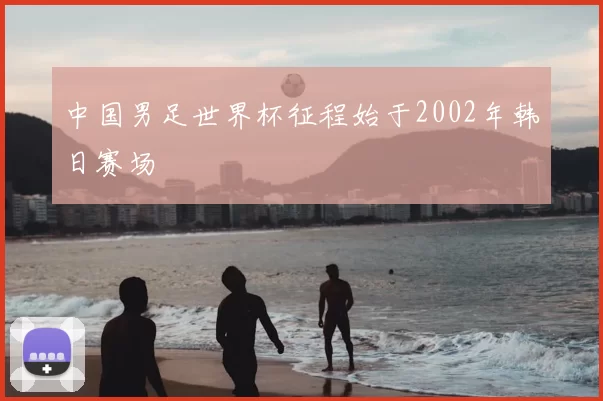 中国男足世界杯征程始于2002年韩日赛场