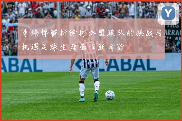 李玮锋解析徐彬加盟狼队的挑战与机遇足球生涯面临新考验