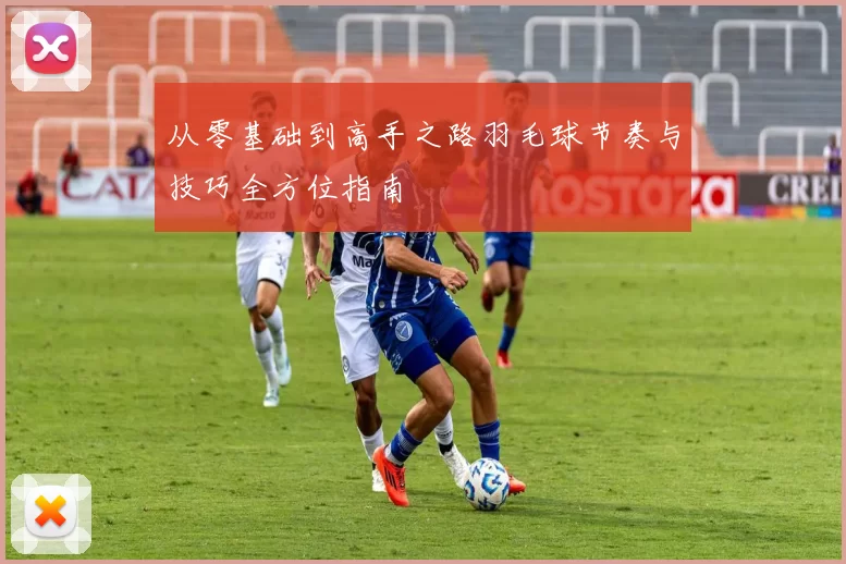 从零基础到高手之路羽毛球节奏与技巧全方位指南