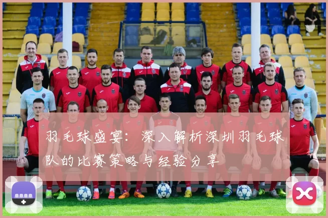 羽毛球盛宴：深入解析深圳羽毛球队的比赛策略与经验分享