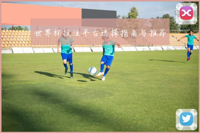 世界杯投注平台选择指南与推荐