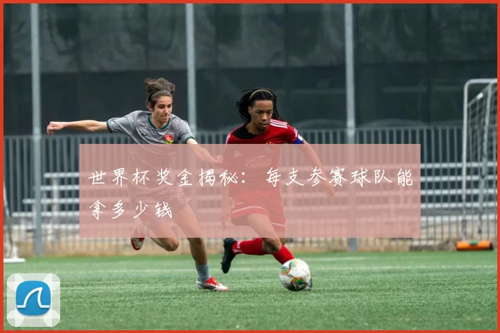 世界杯奖金揭秘：每支参赛球队能拿多少钱