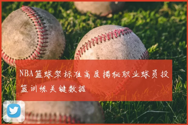 NBA篮球架标准高度揭秘职业球员投篮训练关键数据