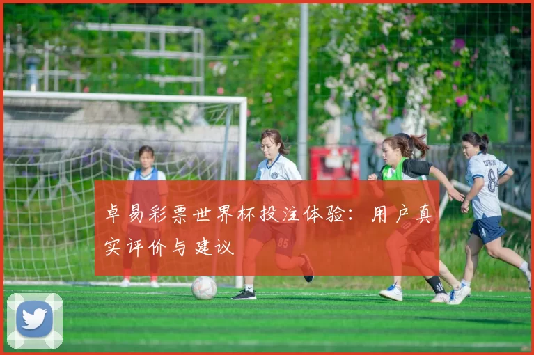 卓易彩票世界杯投注体验：用户真实评价与建议