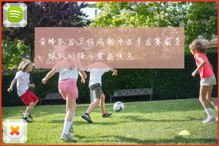 黄蜂队后卫伤病潮冲击季后赛前景，球队补强方案成焦点