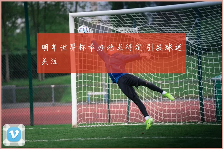 明年世界杯举办地点待定 引发球迷关注