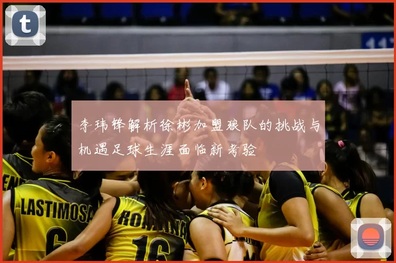 李玮锋解析徐彬加盟狼队的挑战与机遇足球生涯面临新考验