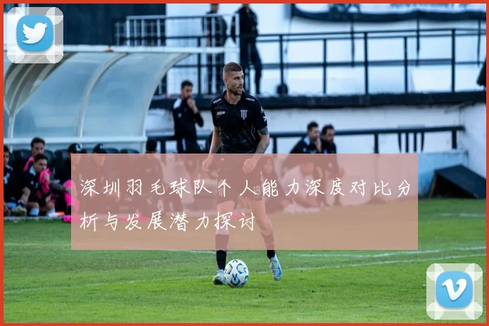 深圳羽毛球队个人能力深度对比分析与发展潜力探讨