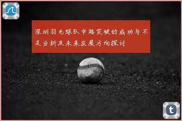 深圳羽毛球队中路突破的成功与不足分析及未来发展方向探讨